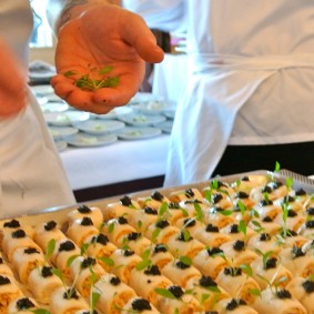  Gourmandise de féra du Léman, petits pois, asperges et homard breton coraillé